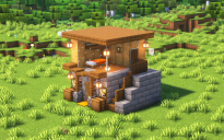 Starter House #10