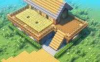Survival House #6