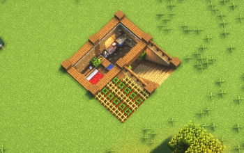 Underground House