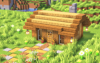 Starter House #11