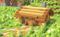 Starter House #11