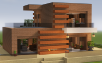 Modern House 100