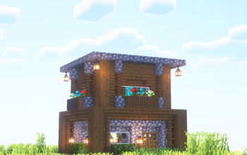 Survival House #9