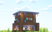 Survival House #9