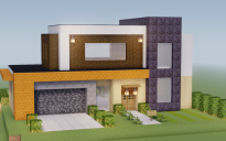 Modern House 113