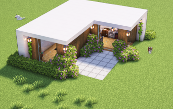 Modern House