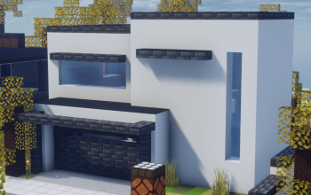 Modern House 5
