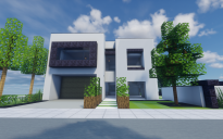 Modern House 8