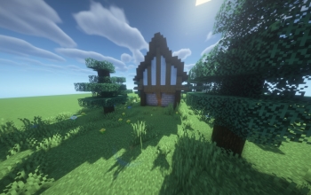Medieval House 1 + Interior