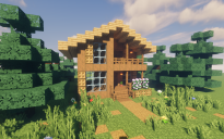 Wood House 14
