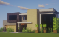Modern House 136
