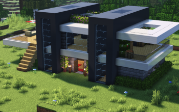 Modern House #8
