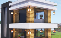 Modern House #10
