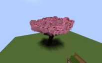 Cherry-Blossom_Tree