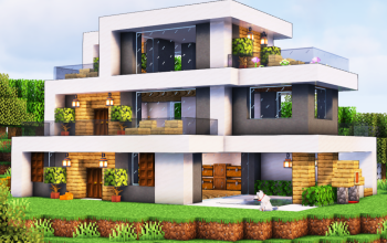 Modern Starter House