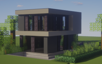 Modern House 163