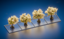 Bundle 4 Minecraft Yellow Trees