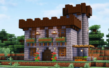 Starter Castle #3