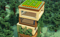 Starter House #14