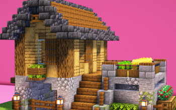 Starter House #3