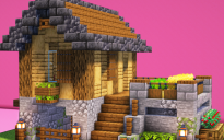 Starter House #3