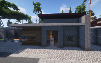 Modern House 9
