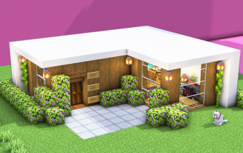 Modern House