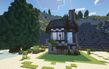 Medieval House 3