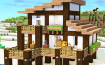 Beach House