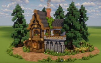 Medieval House