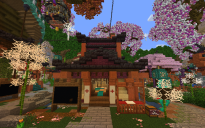 Asian Infirmary