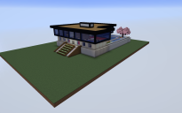 Modern House