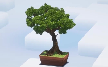 Giant Bonsai Tree