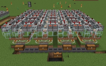 wool farm
