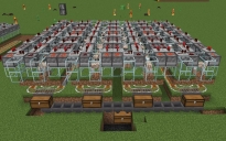 wool farm