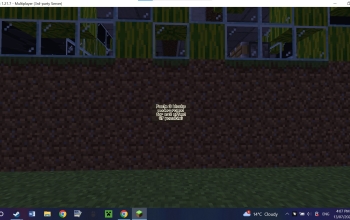 melonfarm