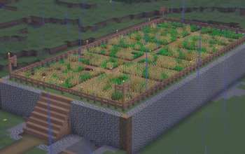 Tex's Farm