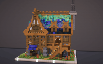 Wizard's House