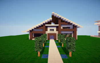 little modern house