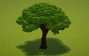 Oak tree