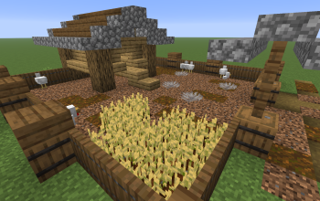 Gallinero y corral de gallinas