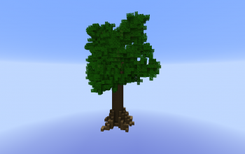 Large Oak Tree