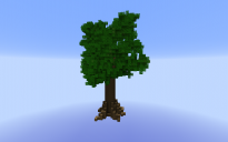 Large Oak Tree