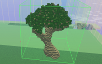 Big tree