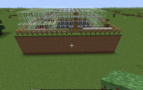 Auto Egg Farm