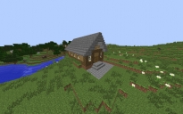 simple starter house