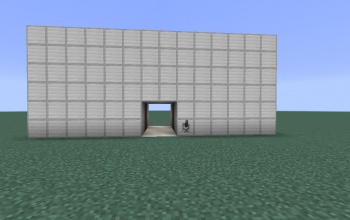 Concealing 2x2 Door