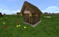 Better Small House (Basic)