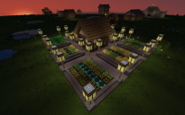 Better Village Farm