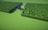 Double Hedge Maze